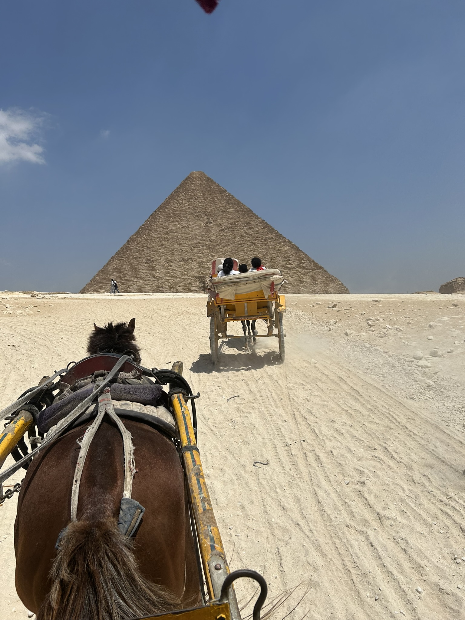 Horse carriage near pyramids